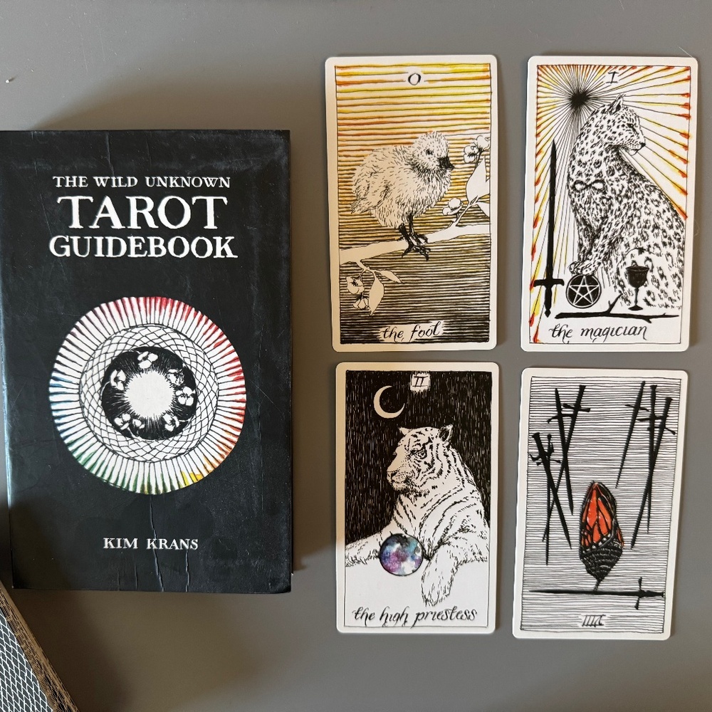 wild unknown tarot deck + guidebook